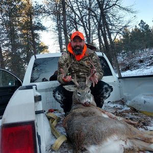 Meet your Posher, Aaron